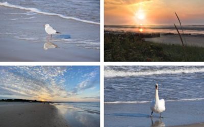 Und das Gewinnerfoto ist…