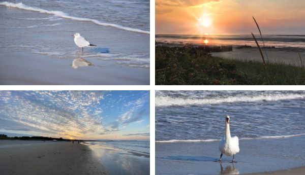 Und das Gewinnerfoto ist…